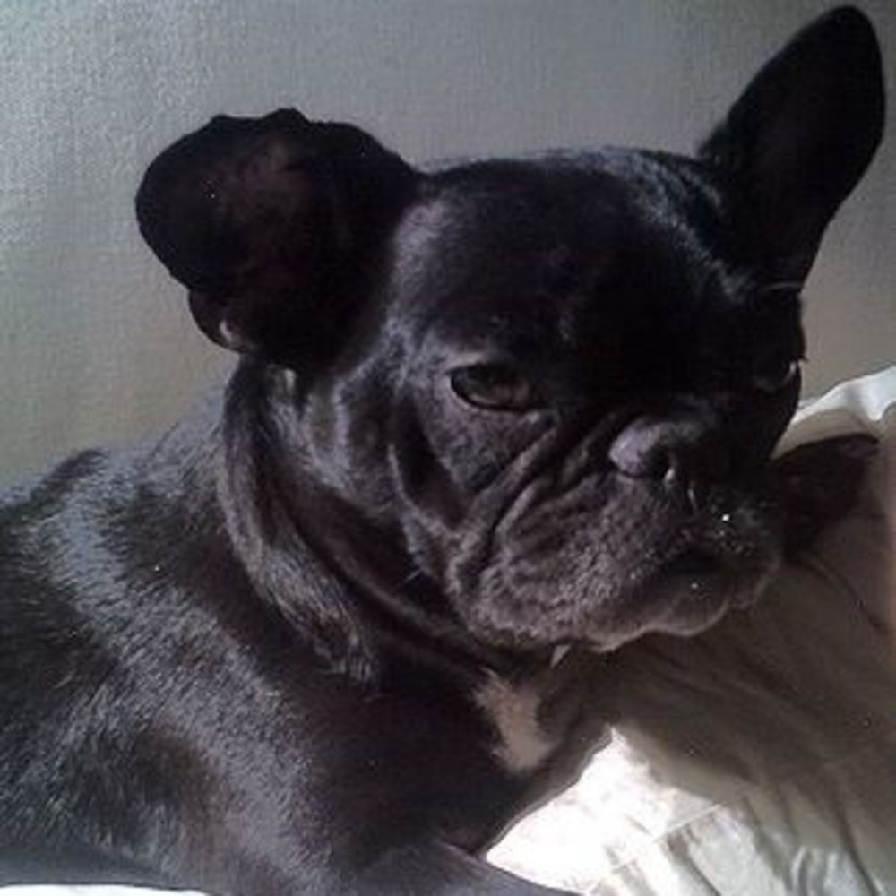 Meet your Posher, Misa